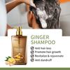 Itch-Relief Nourishing Dandruff Shampoo