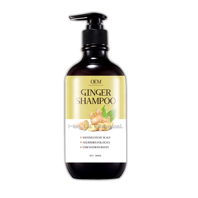 Ginger Extract to Control Oil and Remove Dandruff Shampoo