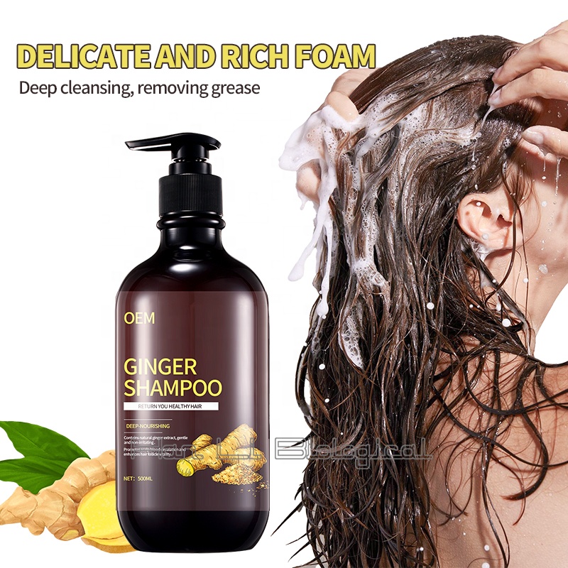 Ginger Shampoo for Hair Anti-Loss 2