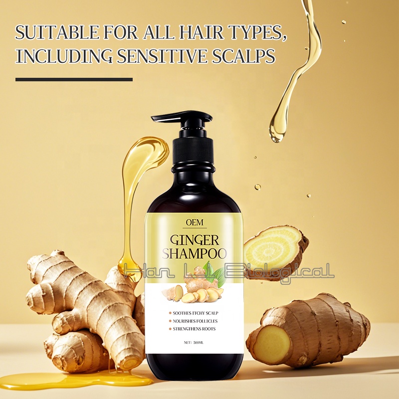 Ginger Extract to Control Oil and Remove Dandruff Shampoo 2