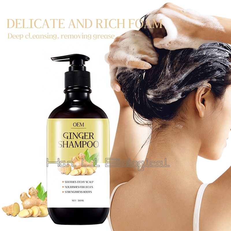 Ginger Extract to Control Oil and Remove Dandruff Shampoo 1