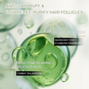 Anti Dandruff Shampoo
